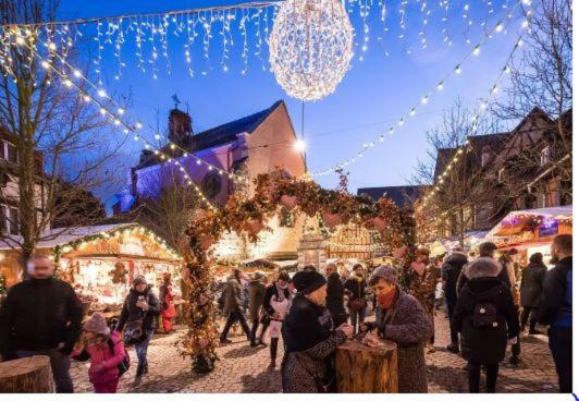 Duplex Saint Lustre, View Over Castle And Storks, 5 Mn From Colmar Eguisheim Exterior photo