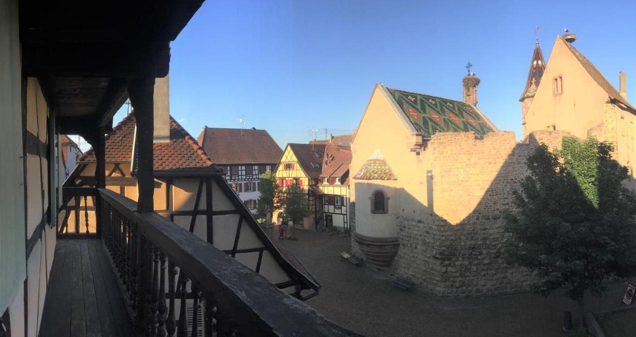 Duplex Saint Lustre, View Over Castle And Storks, 5 Mn From Colmar Eguisheim Exterior photo